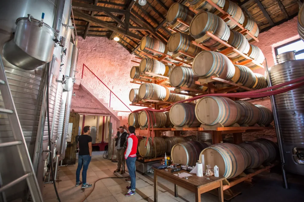23. Os vinhos do Douro